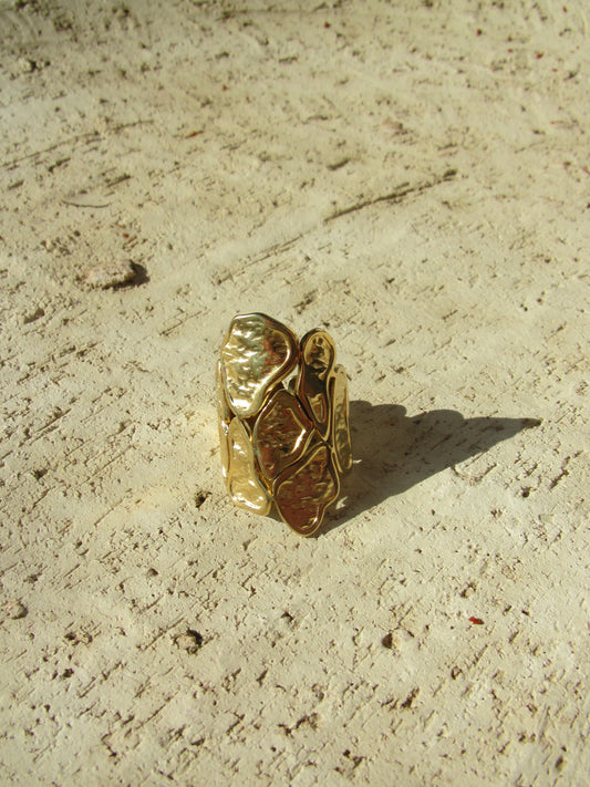 ANILLO ALTAI